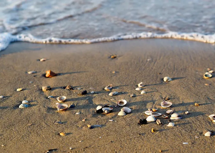 In 24437 Lägenhet Bibione